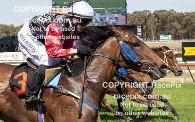 Pinjarra Cup Day