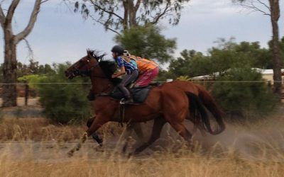 Bunbury Stakes Day