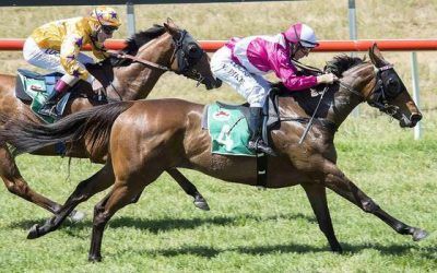 3  Running At Belmont Park