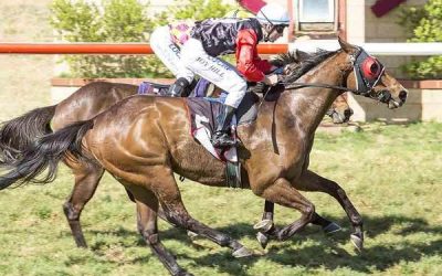 You Watching Me Racing Railway Stakes Day