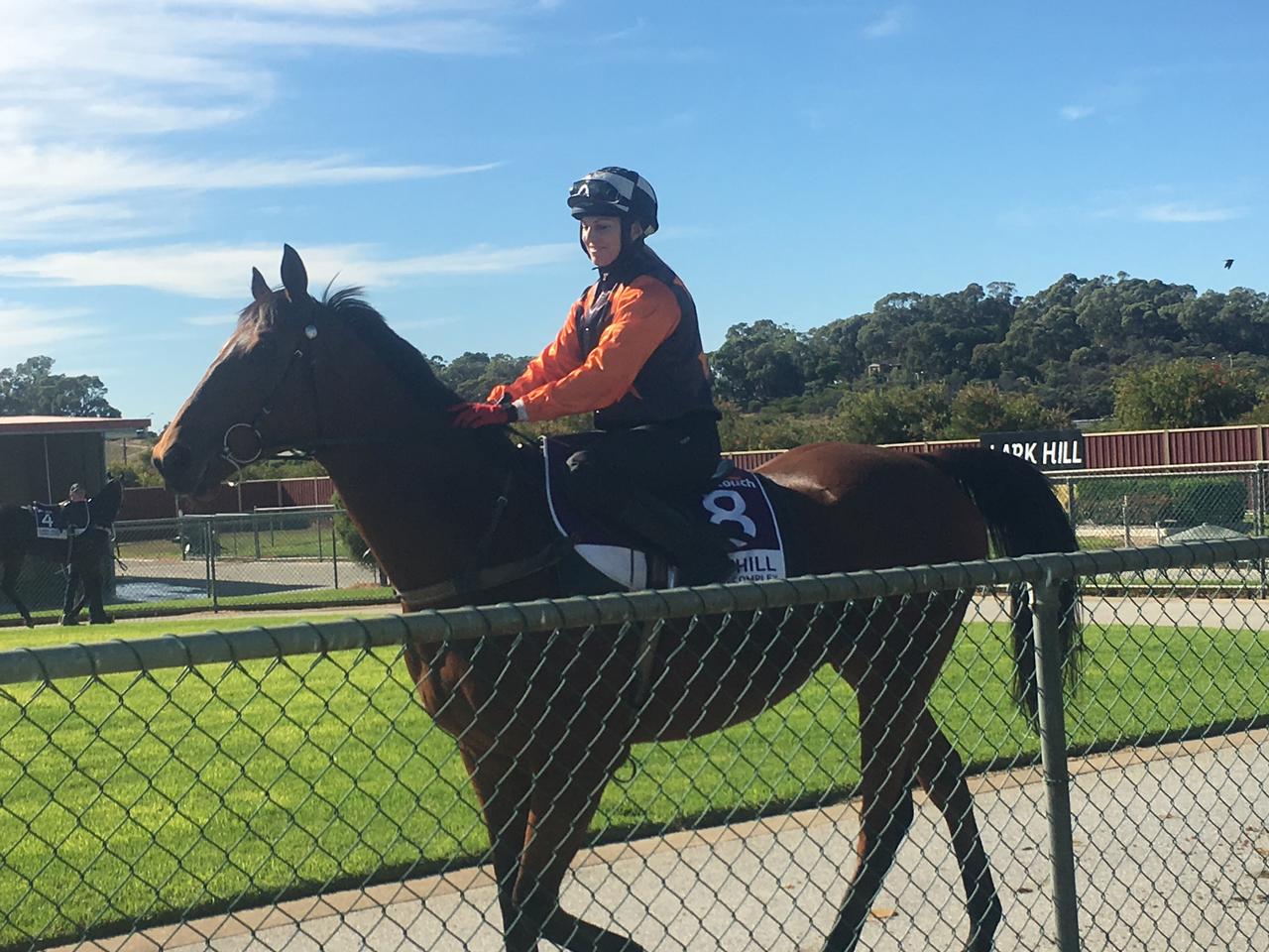 MIsty Cleared For Race Riding - Bazeley Racing Stables