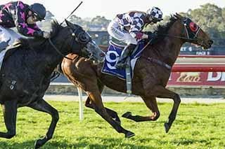 Massa Mac Heads to Northam