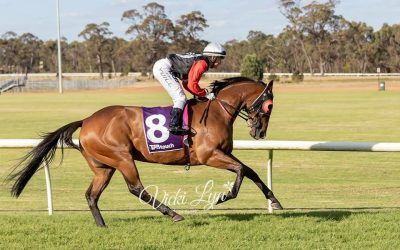 Toodyay Cup Day.