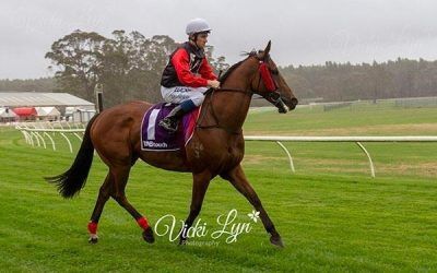 Toodyay Races Sunday