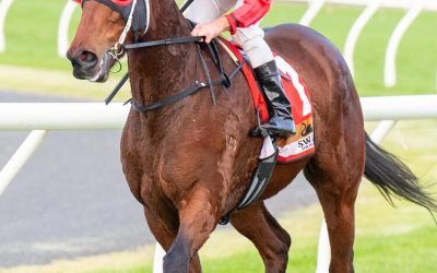 2 Runners At Northam