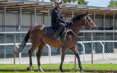 The Weapon at Narrogin