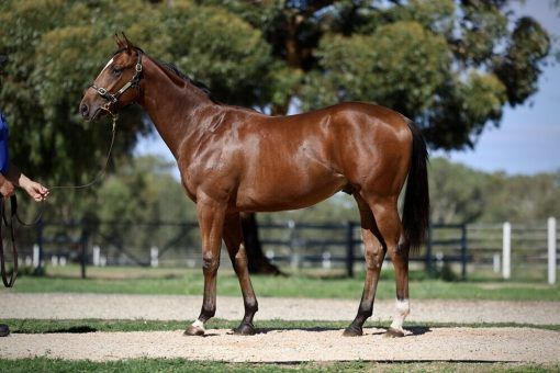 Un-named (Fierce Impact - It's Poets Day)