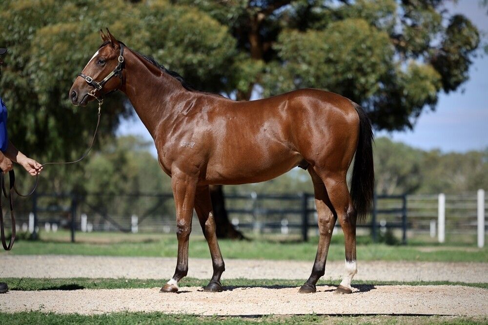 Un-named (Fierce Impact – It’s Poets Day)