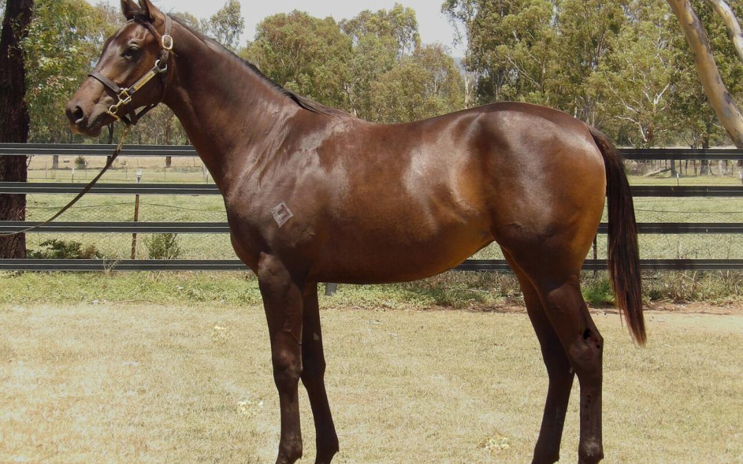 Artorius – Mistress Mace