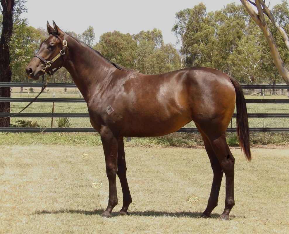 Artorius – Mistress Mace