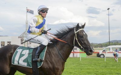 Buenos set for Highway hit and run