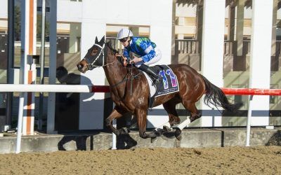 Give Me Joy has Dryden and Snowden all smiles at Canberra