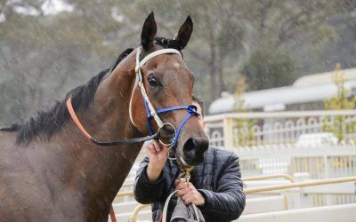 Restless Spirit’s class shines as Highway beckons