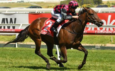 Glenrowan Prince claims back-to-back horse of the year