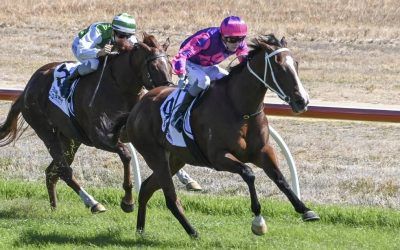 Bendigo filly Gloves Are Off destined for better races