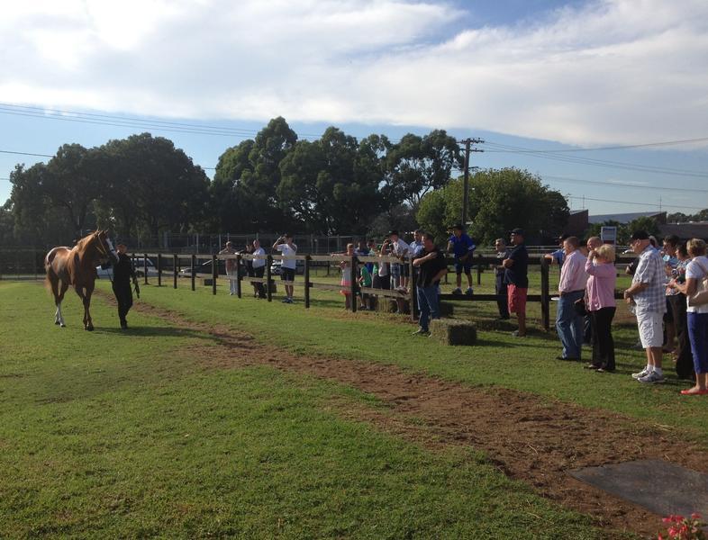 Open Stables Morning a Success Austin Racing