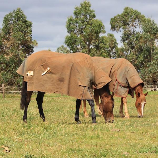 Facilities - Patrick Payne Racing