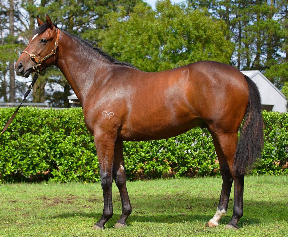 Artie Schiller X Marmi