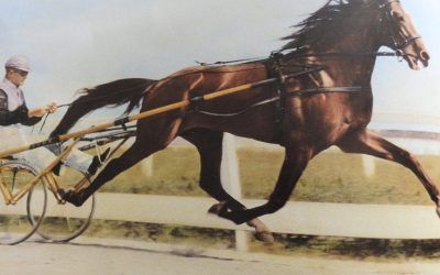 Feature: Australian Superstars in NZ Cup