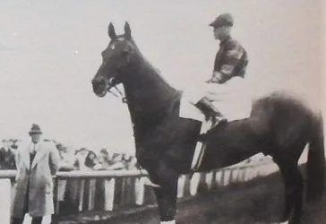 All Stars Stable and the Phar Lap Connection