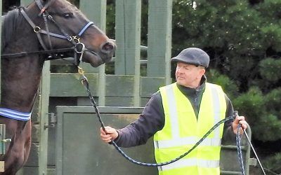 Mark Gets Serious at Riccarton Park