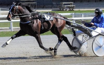 Trotters Have Mark Guessing for Grand Prix Day