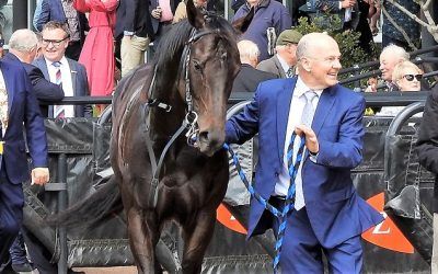 “Next Lot” of Galloping Team Doing Well