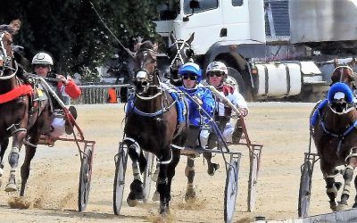 Apples Fall Close to Purdon Trees at Karaka