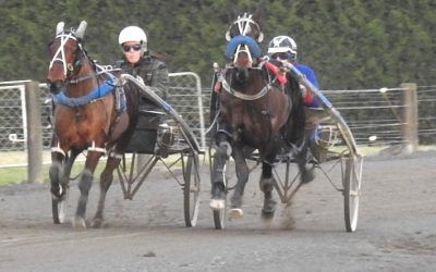 Mark To Don The Colours at Addington Friday