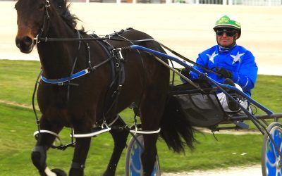 Mr Kaplan Nathan’s Best at Addington