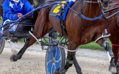 Auckland Cup Start on Line for Chase a Dream-Nath’s Value Rival