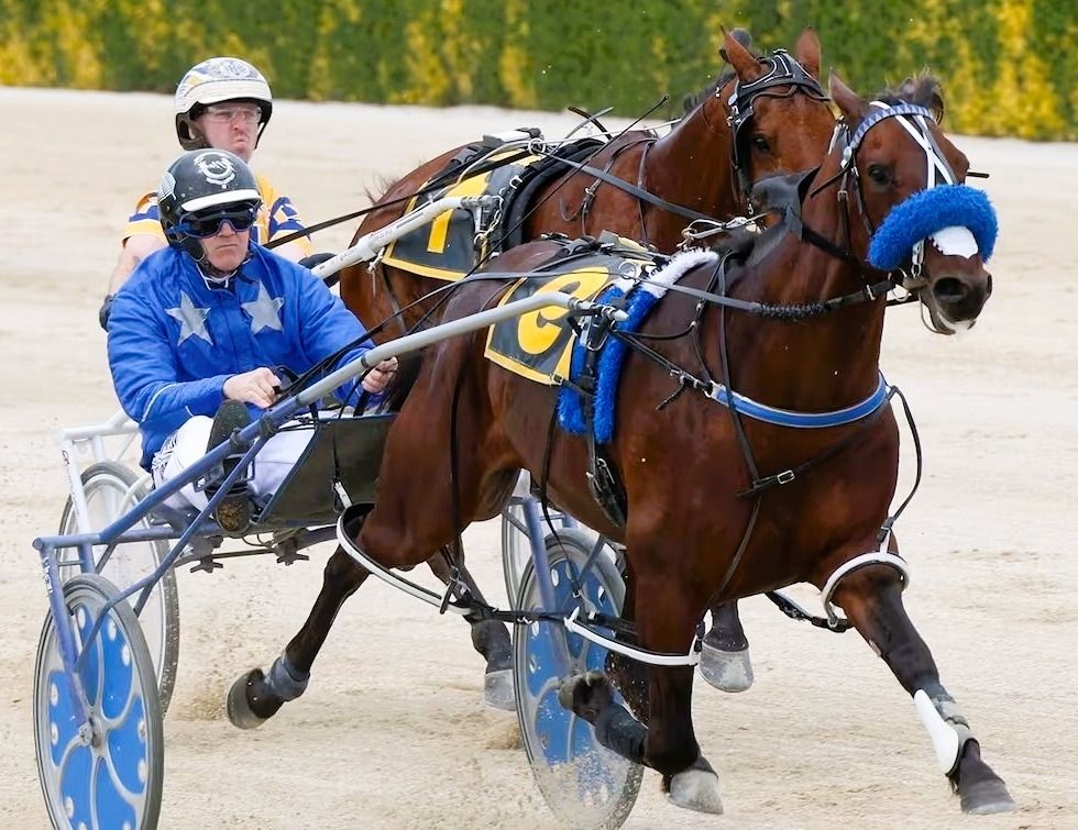 Stable - Purdon Racing