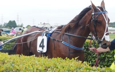 Brooke Hopes For a Second First-8 Years After Her First First