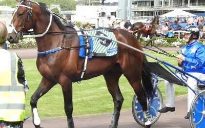Sensational  Mile Puts Oscar in ID Final