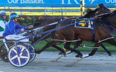 What’s Next for Wat Next-Another 2yo Debut-Akuta at Oamaru