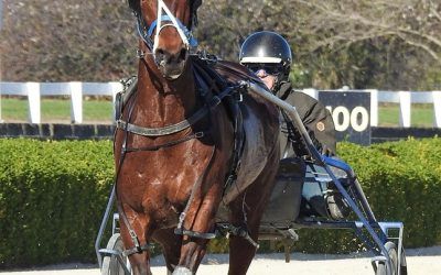 Chase a Dream Joins Akuta in Sharp Addington Workout