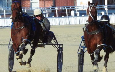 Critical Race for Akuta on Cup Trail. Smart 2Y0 Joins Purdon Racing