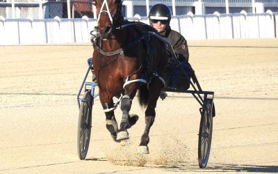 Wat Next Is the Question