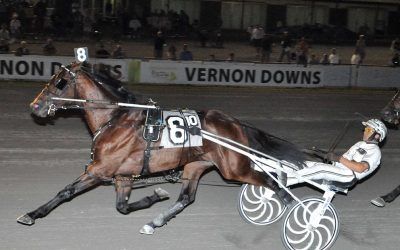 Tests for Akuta. Forgotten Stallion In the News