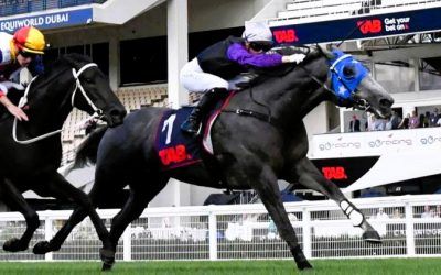 Trotter Hopefully Not Galloping.Galloper Hopefully Galloping Fast.All on