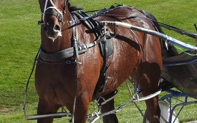 Akuta’s Acid Test.Friday Form