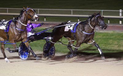 1 Oscar, 2 Maxes, and  Sure Footed Star add up to Partners NY Eve Memory