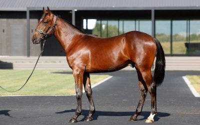 The Class of ’26 – First Day at School