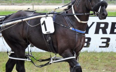 Two Year Olds Grow Firepower.Pantani Ready for action