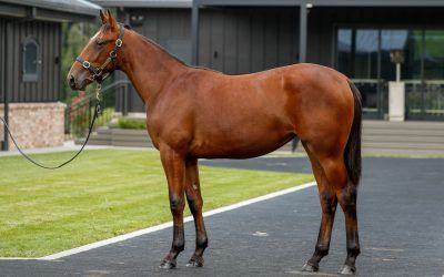 Nathan Happy Man after Sales Buys