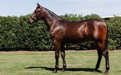 Plenty of Jam for Good Money-Nathan’s Happy Day in Christchurch