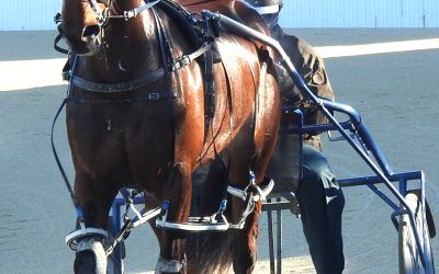 Some Surprises at the Park Tonight ?