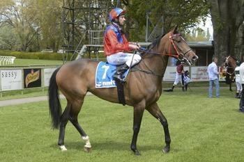 Local Mare Streets Ahead At Kyneton