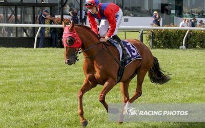 Penny to Sell nominated for Bendigo Horse of the Year 2018/19