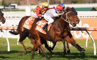 Double You Tee heads Ballarat’s Gold Nugget line-up
